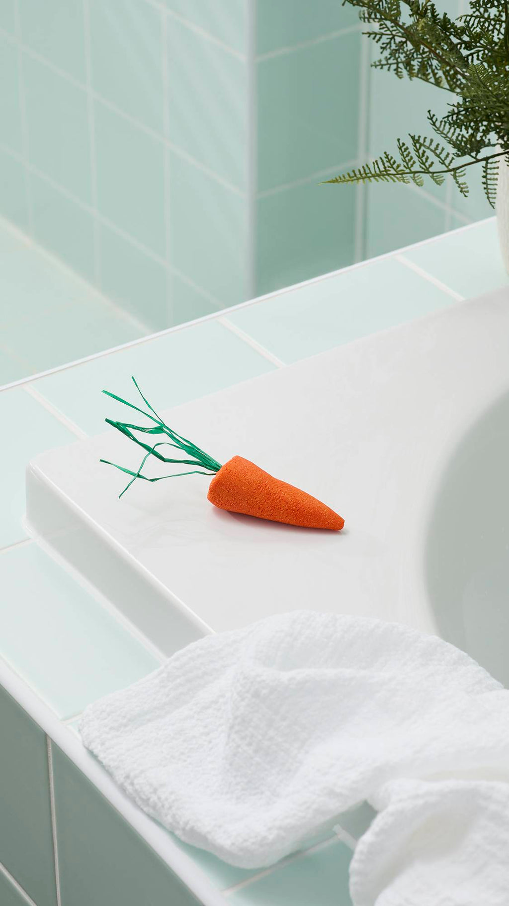 Baby Rainbow Carrots - 40g