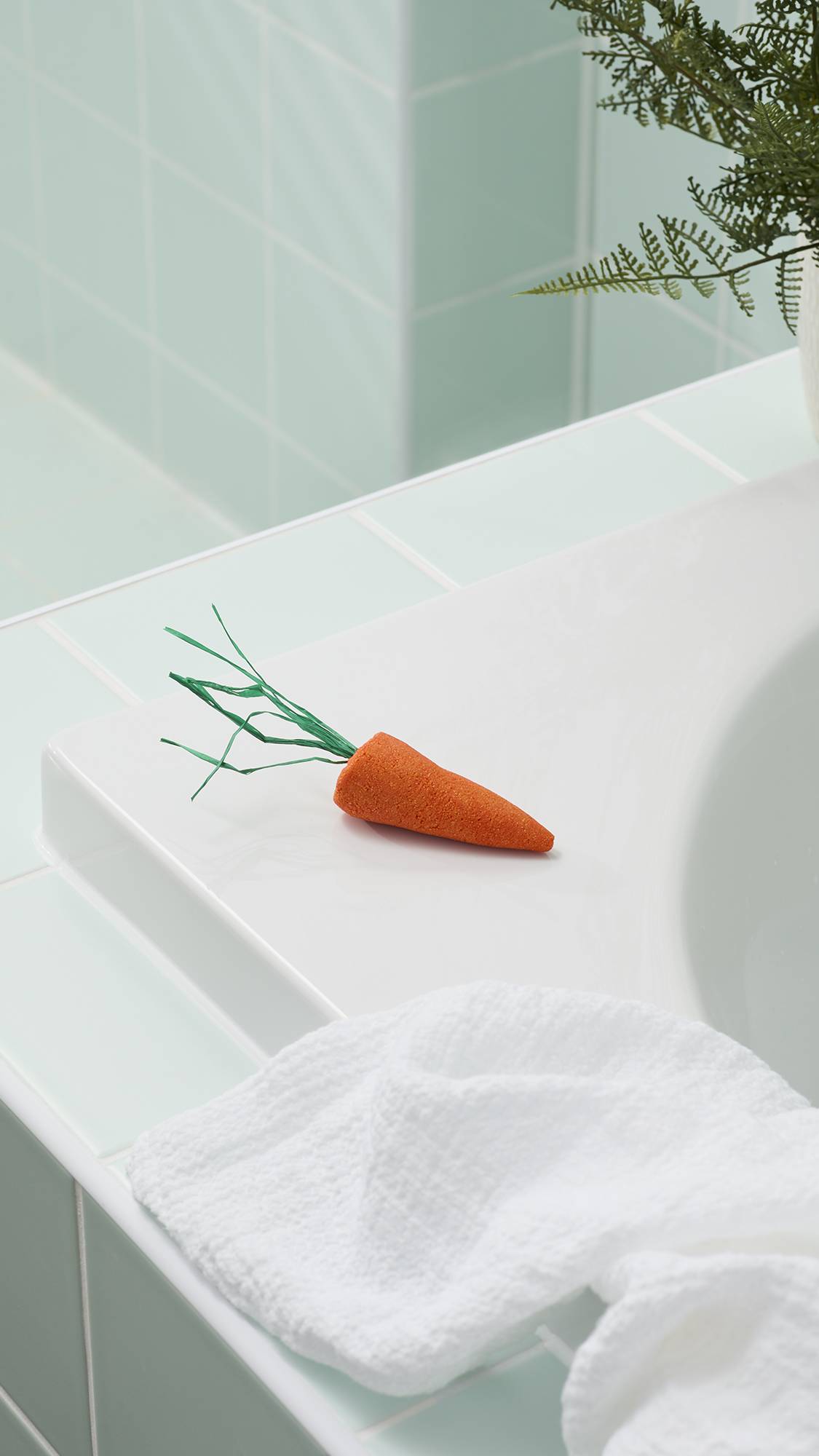 Baby Rainbow Carrots - 40g