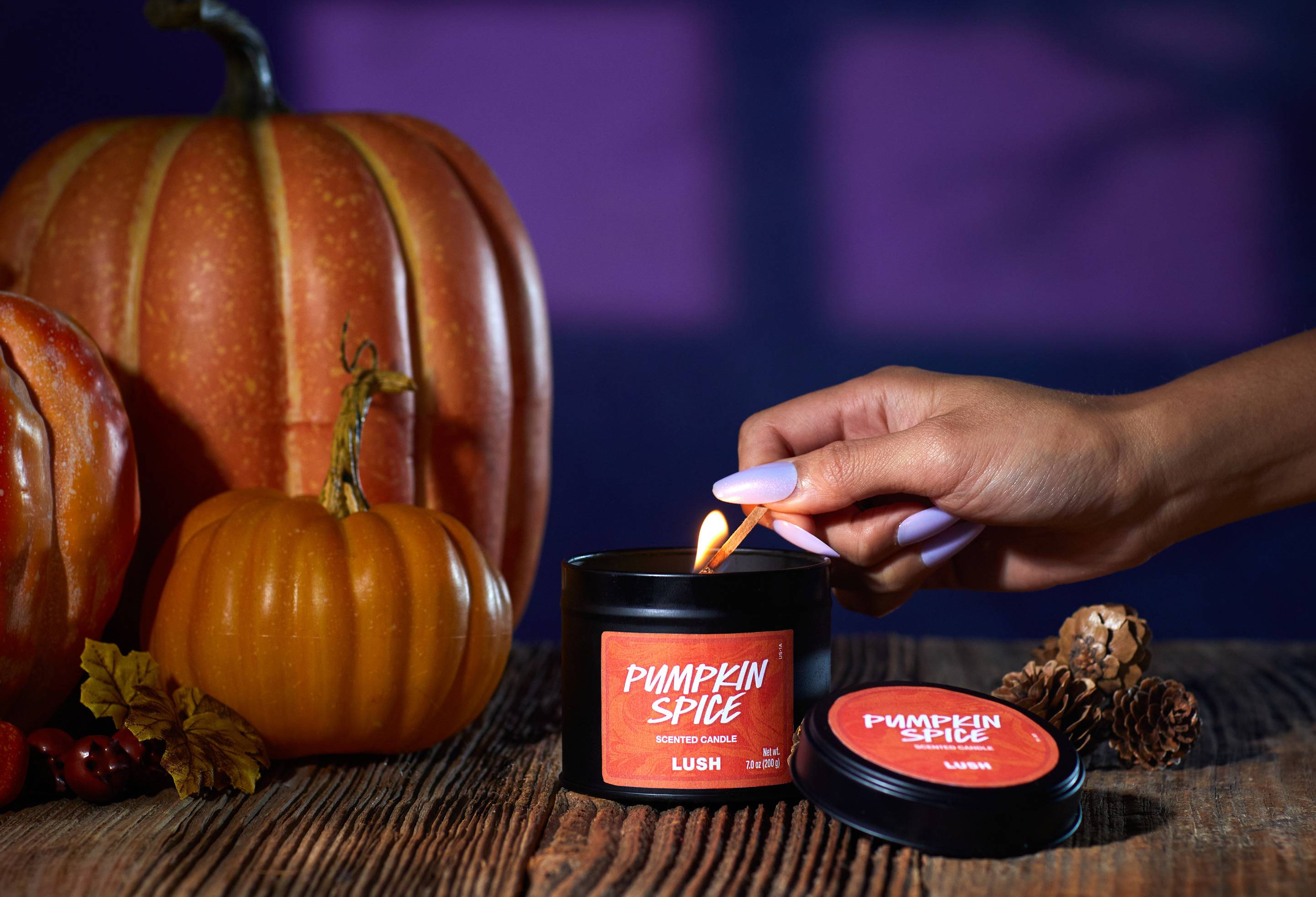 Pumpkin Spice - 200g