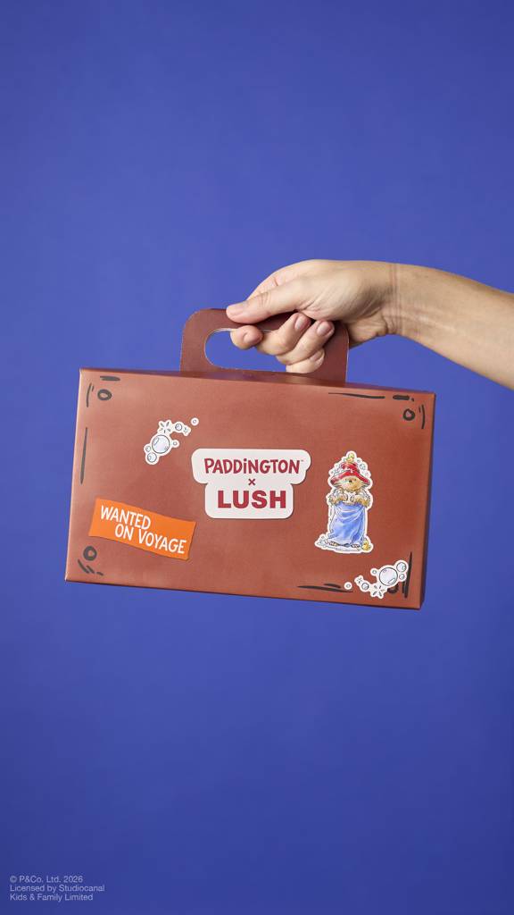 Suitcase - Each