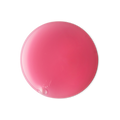 Snow Fairy